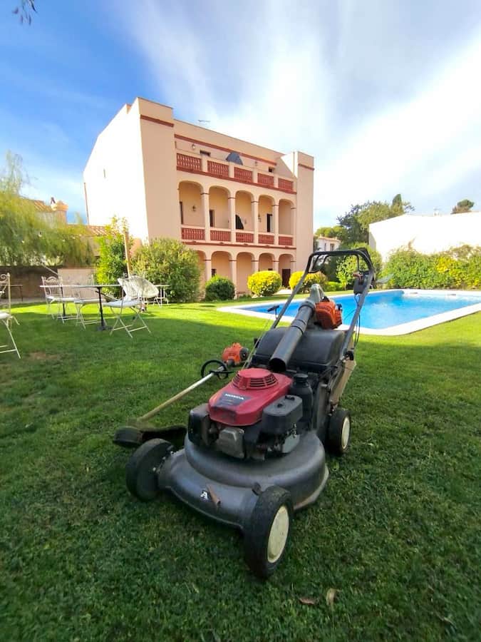 Jardinería La Mediterrània - Cesped