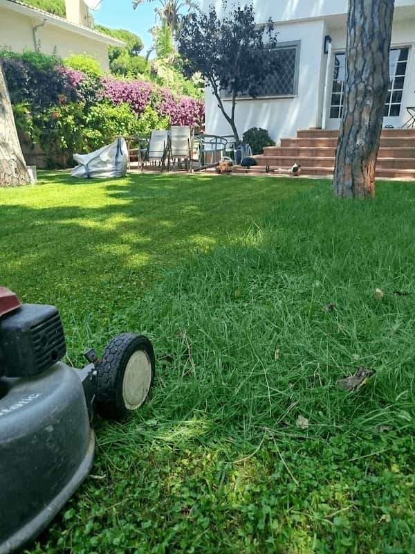 Mantenimiento de jardines