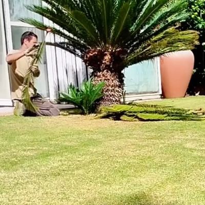 🌴 Cada planta té la seva història i la seva bellesa. La poda manual respecta el seu creixement natural i l’ajuda a mantenir-se forta i saludable.

#poda #jardineria #jardinero