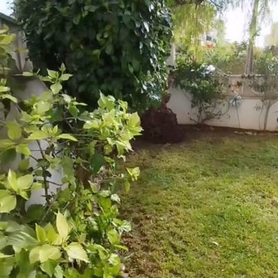 🌿 Cada racó recupera la seva màgia quan es posa en mans d’experts que entenen la seva essència.

#jardineria #jardinero #jardines