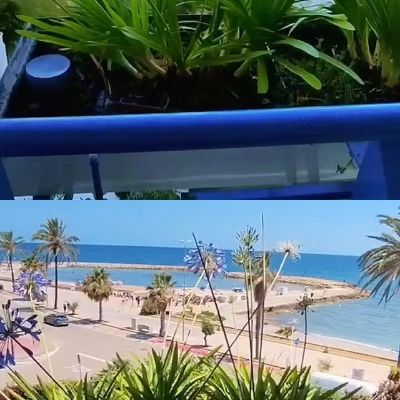 🌊 Quin privilegi treballar amb aquestes vistes! 
Avui hem treballat arreglant aquestes jardineres i li hem donat un toc de color afegint plantes mediterrànies! 
🌿🌸🌼🪻

#jardineria #jardineras #flors #plantes #jardins #posadaapunt #jardiner