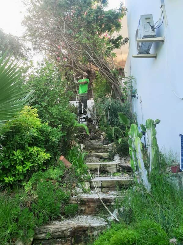 Puesta a punto de jardines